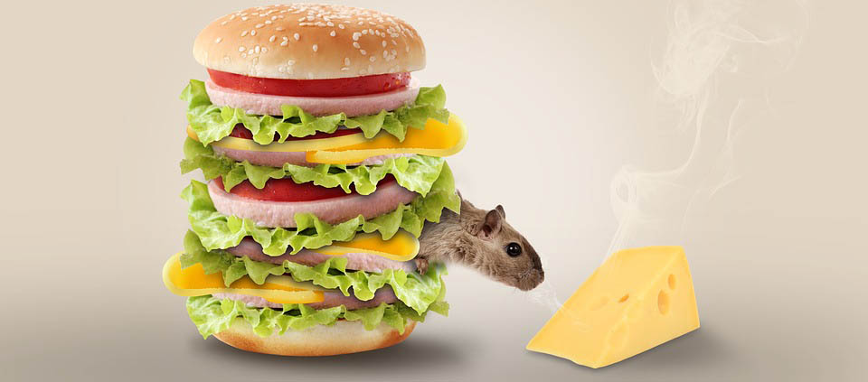 Mouse Burger