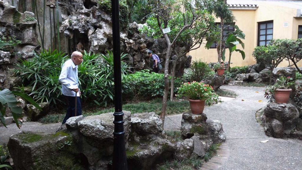 Stone Forrest of Macau 3